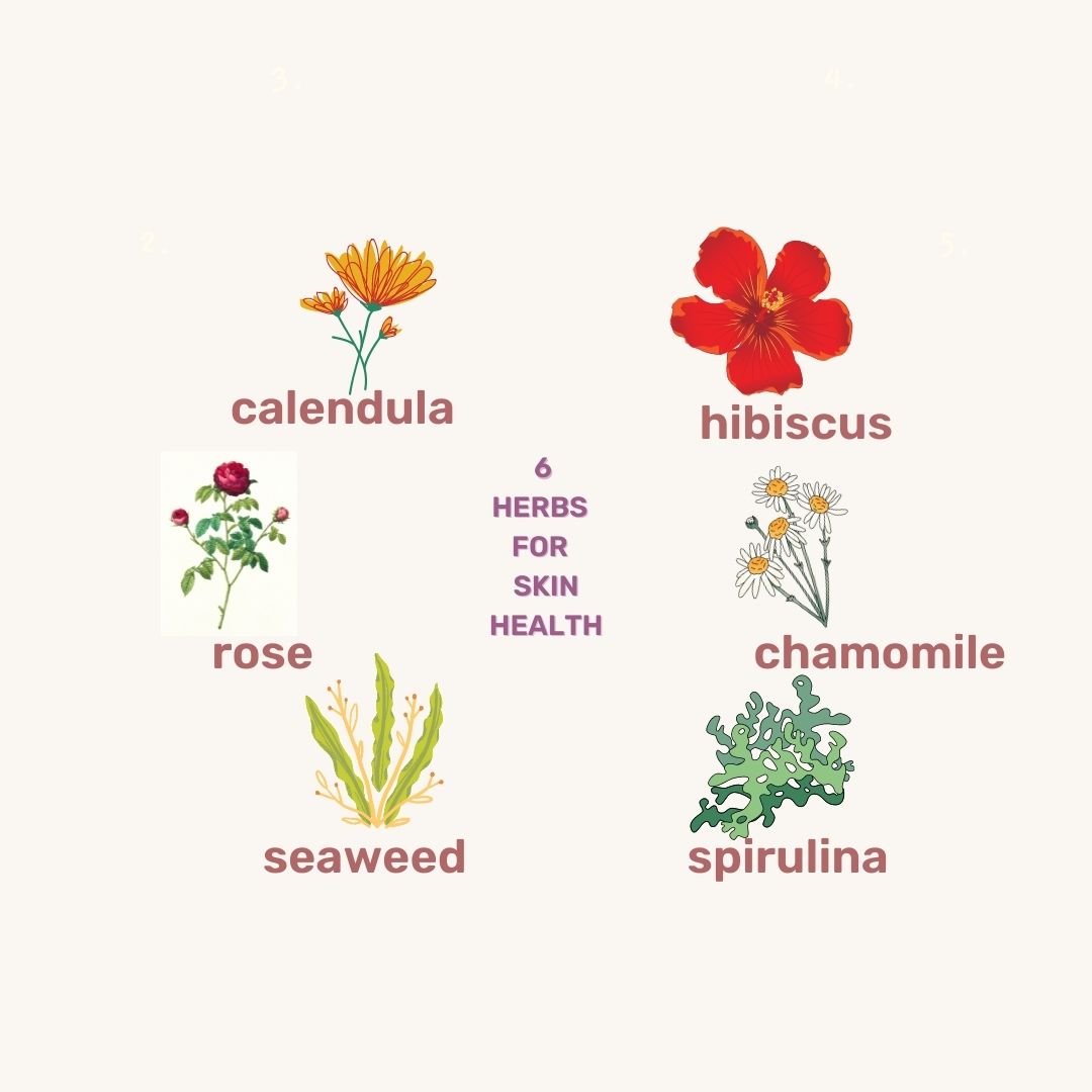 Best Herbs for Natural Skincare