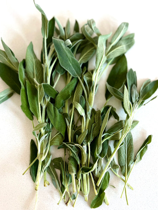 Sage Advice: 5 Ways to Use Sage to Support Your Overall Health