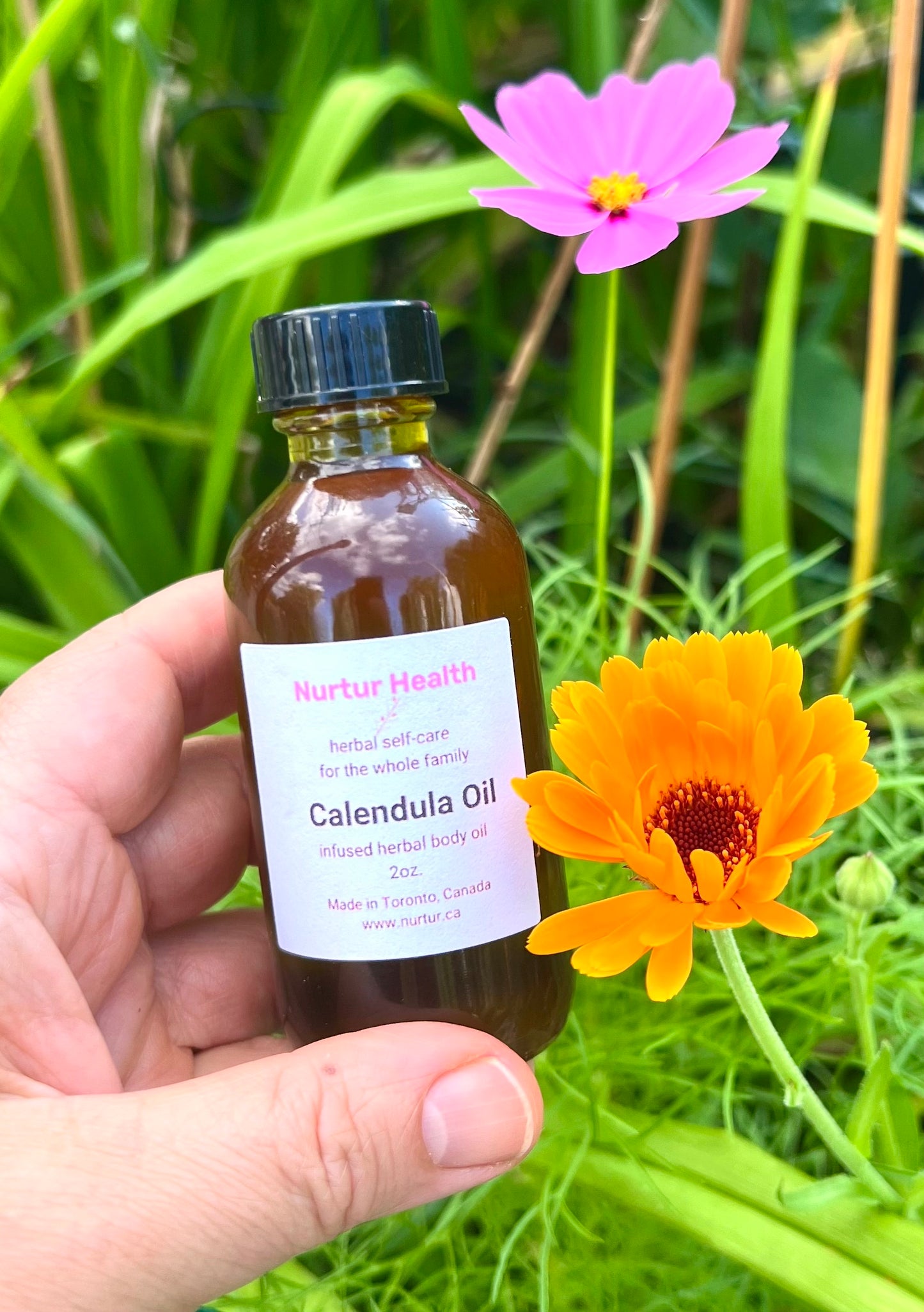 Calendula Herbal Oil