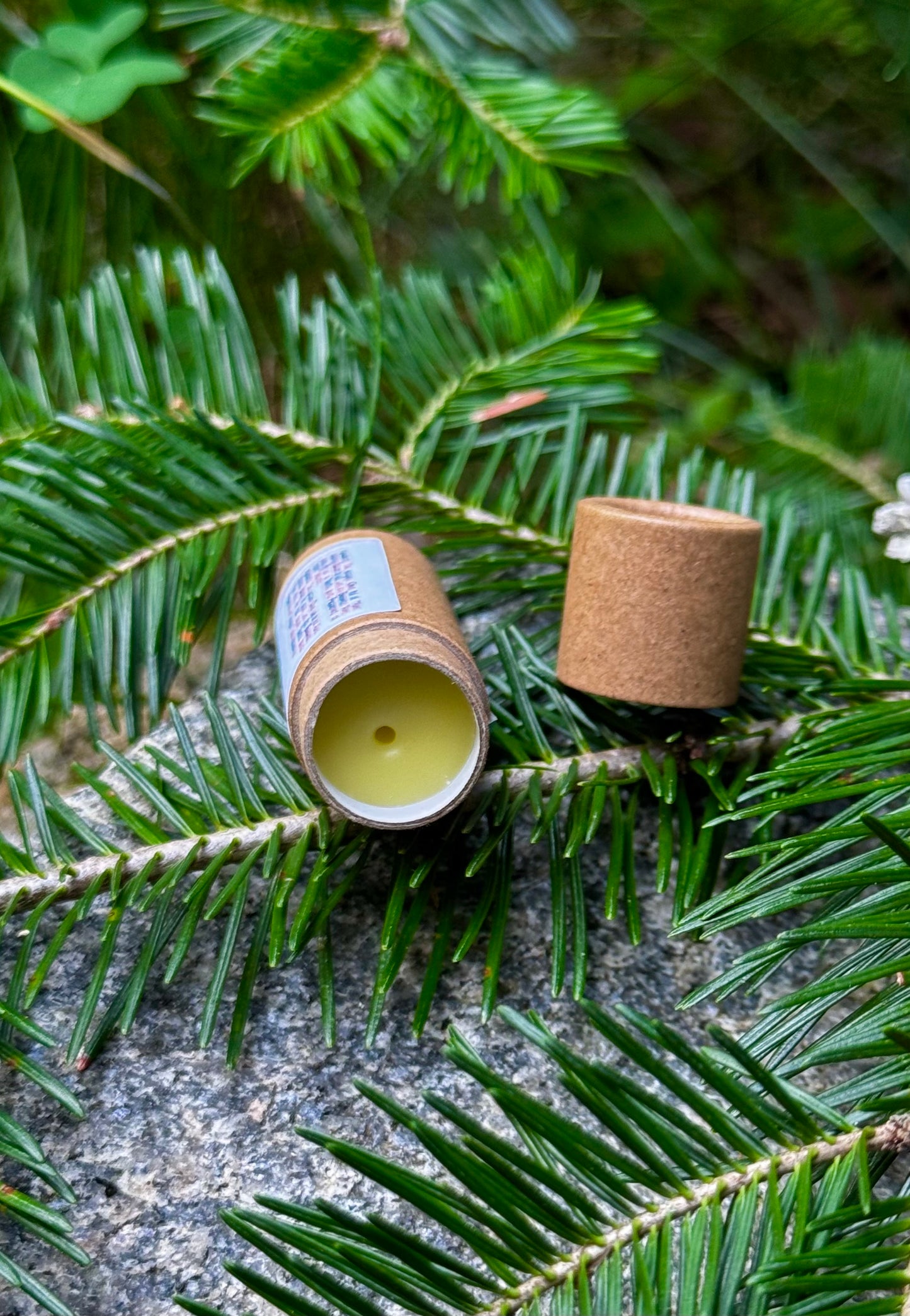 Evergreen Lip Balm