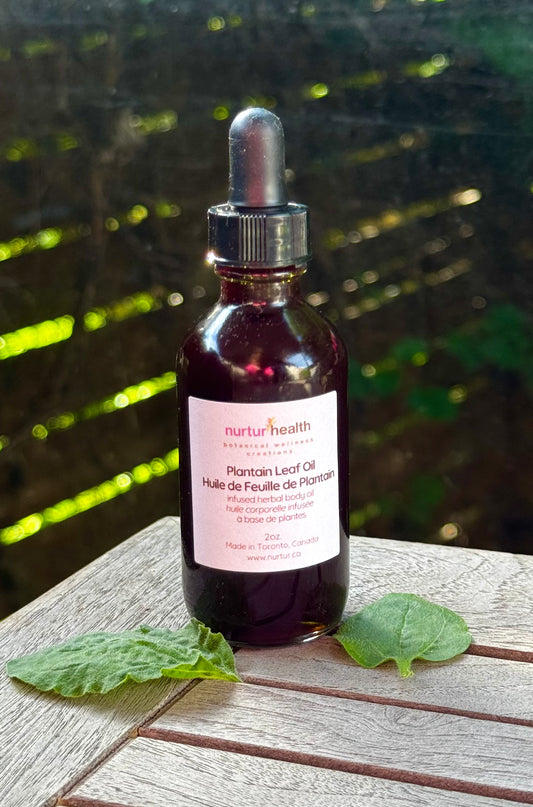 Plantain Leaf Herbal Oil