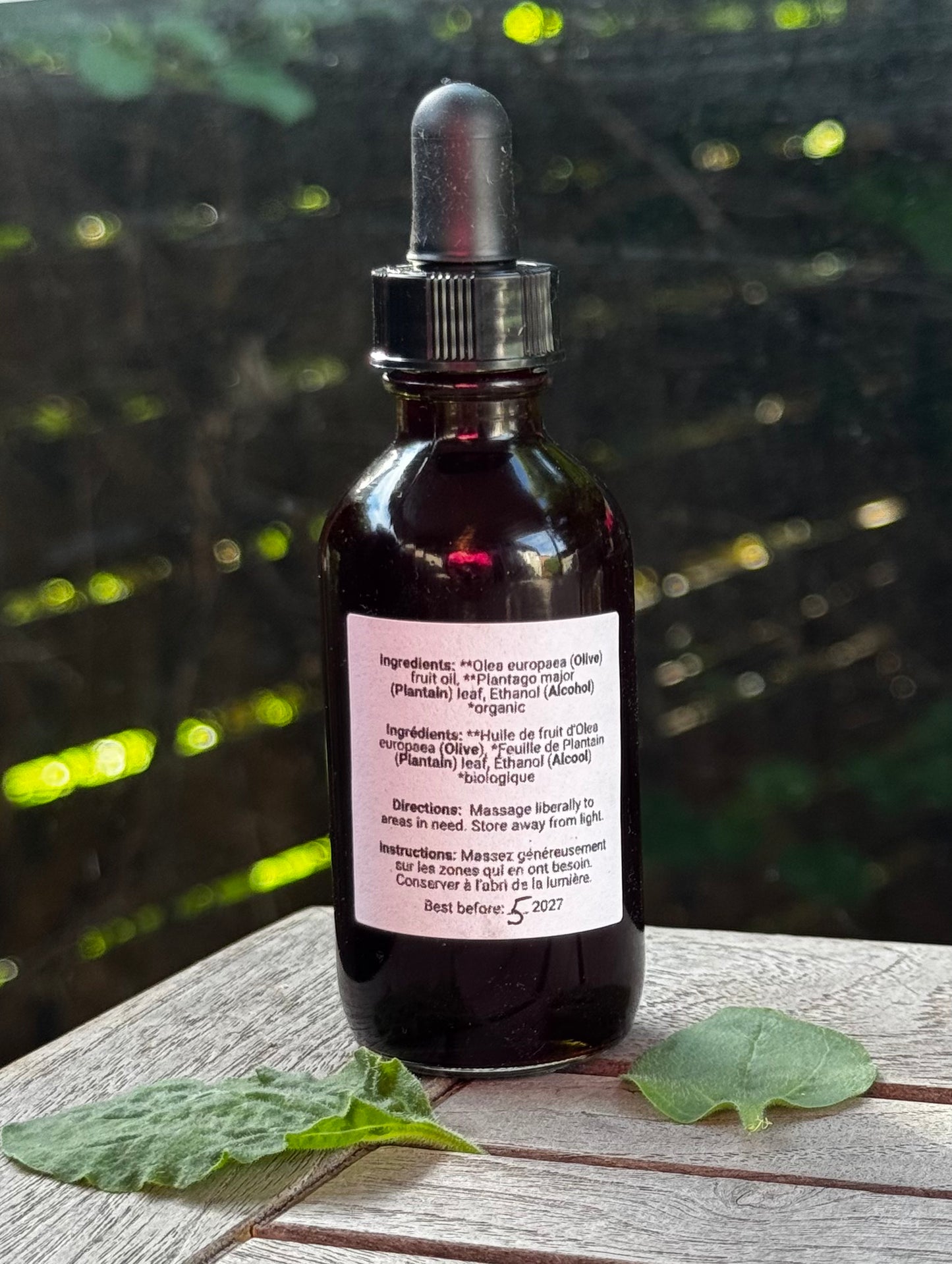 Plantain Leaf Herbal Oil