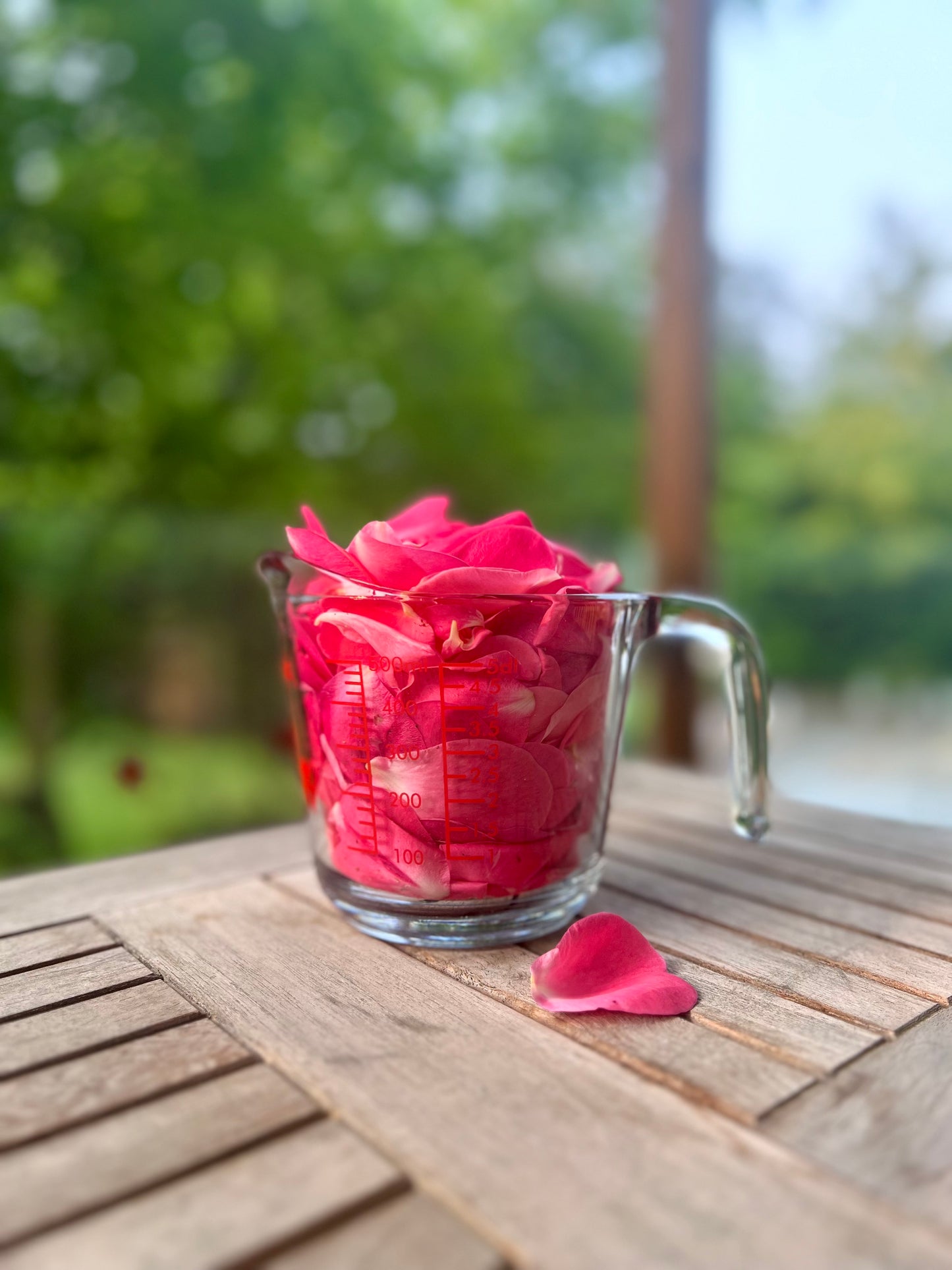 Botanical Face Oil Serum Triple Rose