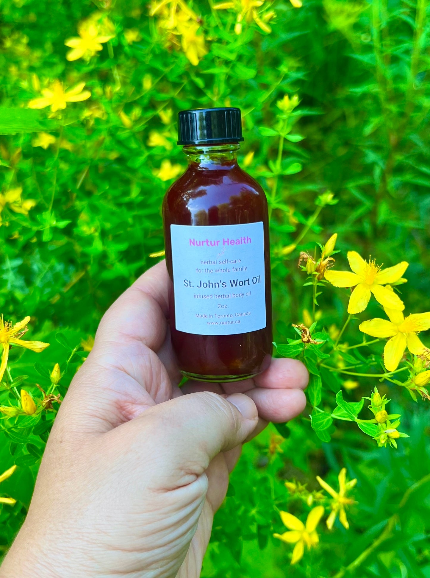 St. John's Wort Herbal Oil