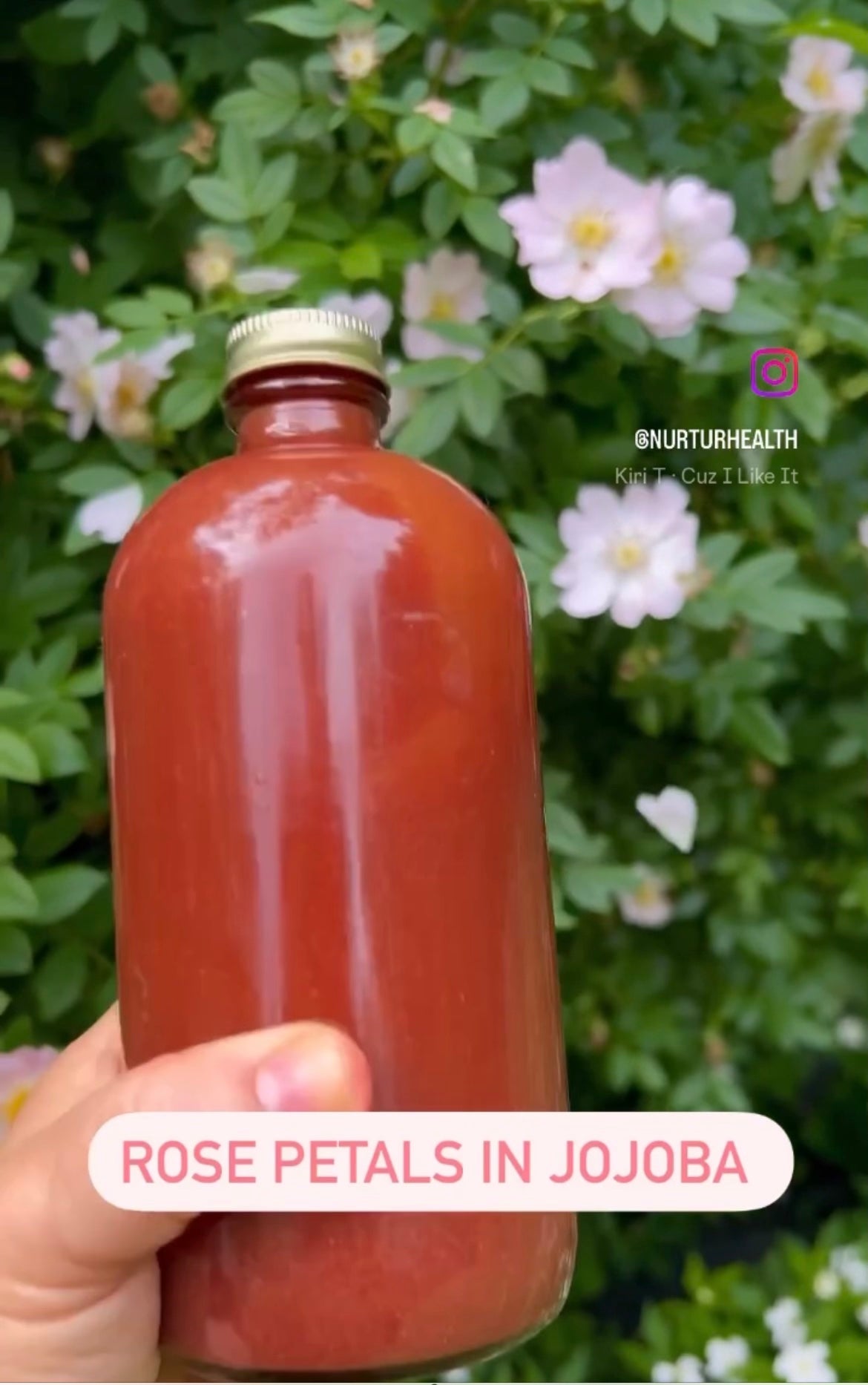 Rose Herbal Oil